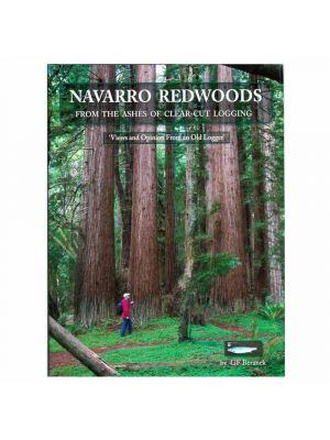 Navarro Redwoods (From the Ashes of Clear-Cut Logging) by Gerald F. Beranek