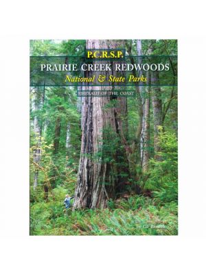 Prairie Creek Redwoods (Emerald of the Coast) by Gerald F. Beranek