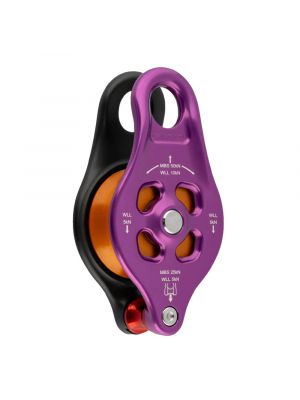 DMM Pinto Rig 2 Pulley (Purple)