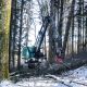 Neuson Forest Harvester 204HVT with Cab Leveling