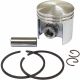 Stihl Piston Assembly (37mm) for 017, MS 170 Chainsaws