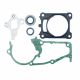 Stihl Gasket Set for MS462 Chainsaws 1142 007 1601